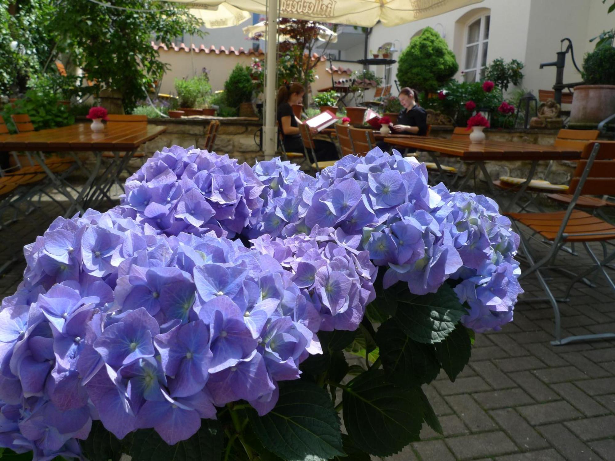 Hotel-Restaurant Roter Ochsen Lauchheim المظهر الخارجي الصورة